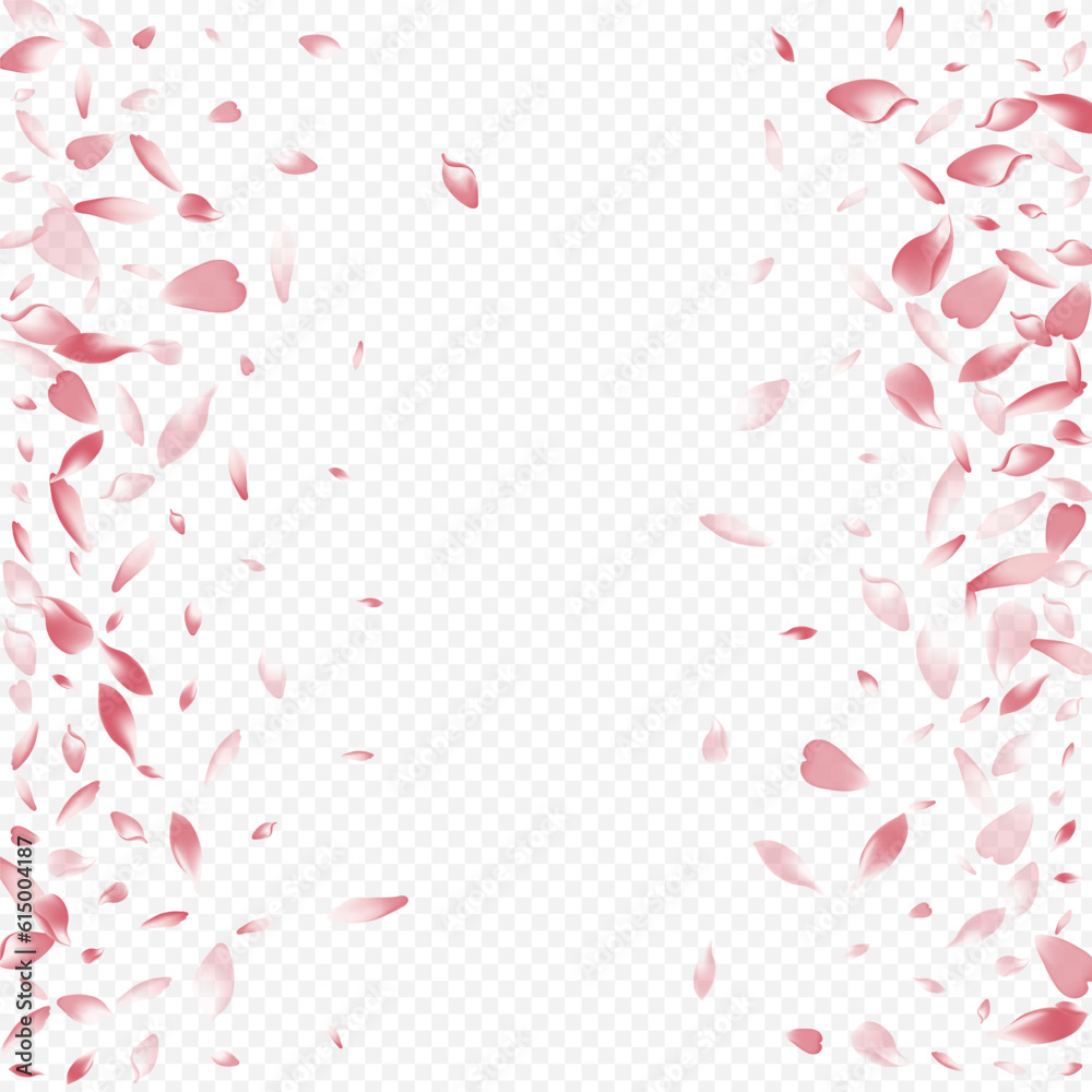 Purple Cherry Vector Transparent Background. Rosa