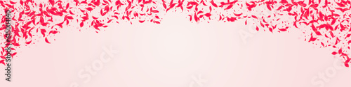 Red Rose Vector Pink Panoramic Background.
