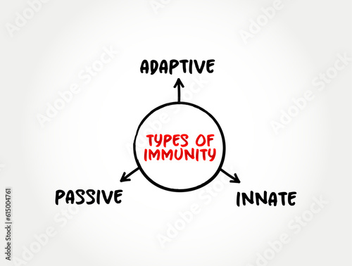 Types of immunity mind map text concept for presentations and reports
