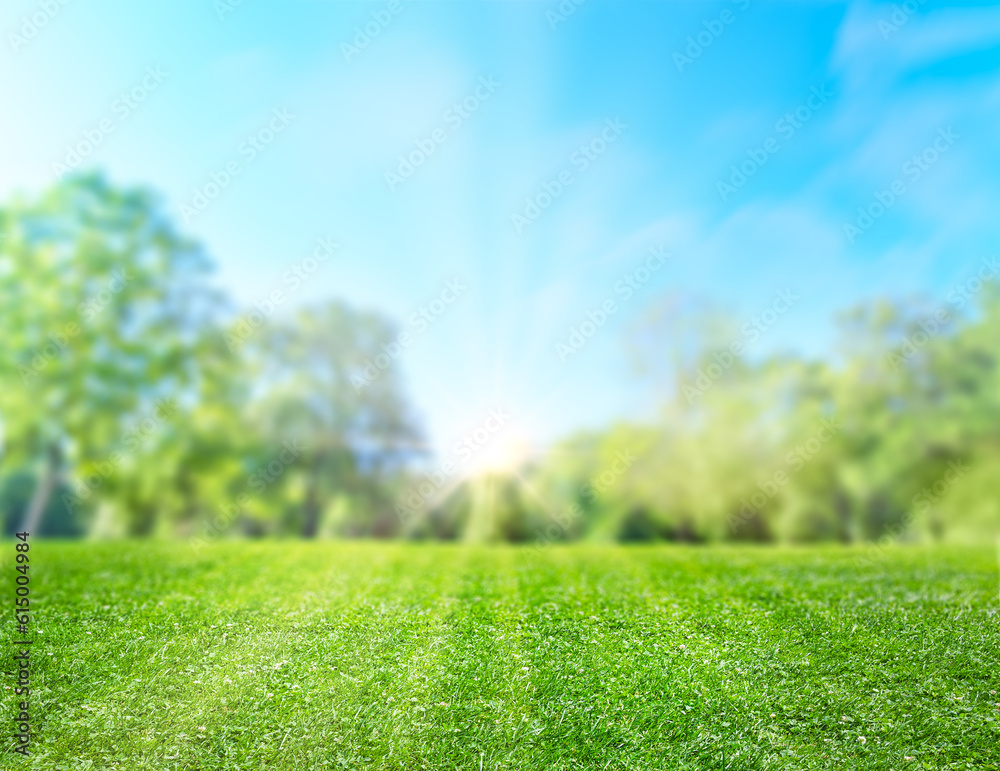 natural grass field background with blurred bokeh and sun rays