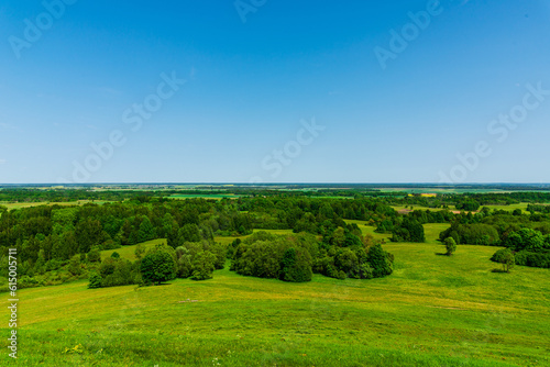 Summer rural lanscape with trees,forest summer clear sky. warm beautiful summer day. Summer background. © ARVD73