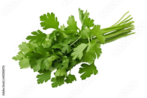 Isolated Coriander on Transparent Background, AI