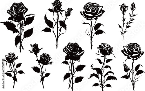 Plant silhouette, black and white design, vector illustration, SVG, great for t-shirt, mug, birthday card, wall sticker, sticker, iron-on, scrapbooking,