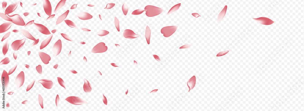 White Flower Vector Panoramic Transparent