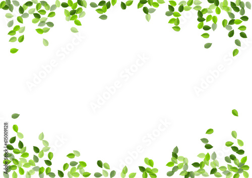 Grassy Leaves Forest Vector Template. Organic