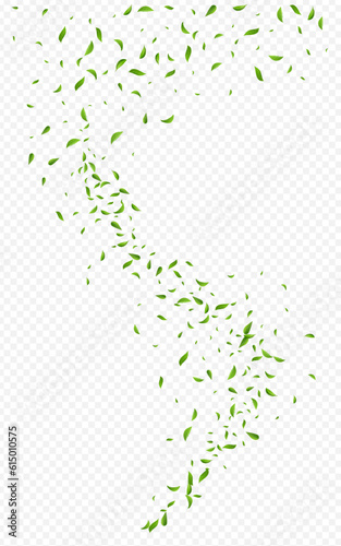 Grassy Foliage Nature Vector Transparent