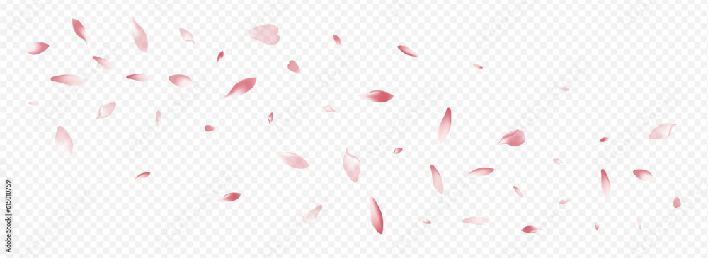Pink Rosa Vector Panoramic Transparent