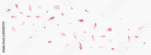 Pink Rosa Vector Panoramic Transparent