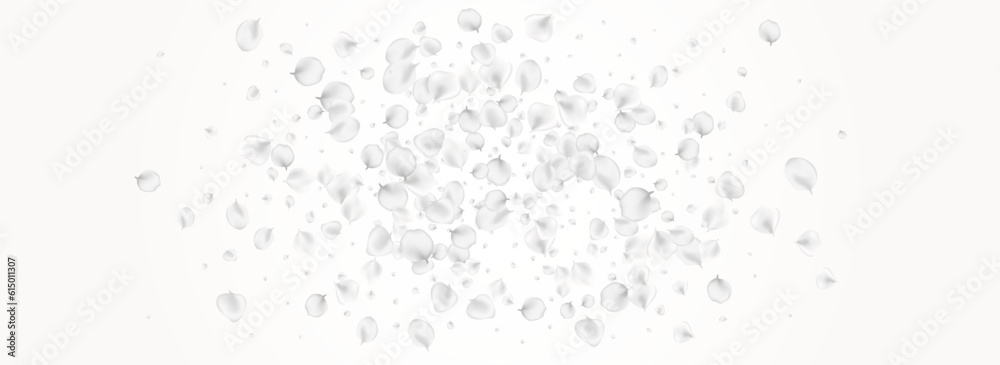 White Lotus Vector Light Panoramic Background. White Lotus Vector Light Panoramic Background.