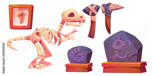 Fossil tyrannosaurus skeleton cartoon museum icon. Vector paleontology and jurassic dinosaur discovery exhibit set for prehistory gallery. Isolated ammonite and rex on pedestal graphic illustration