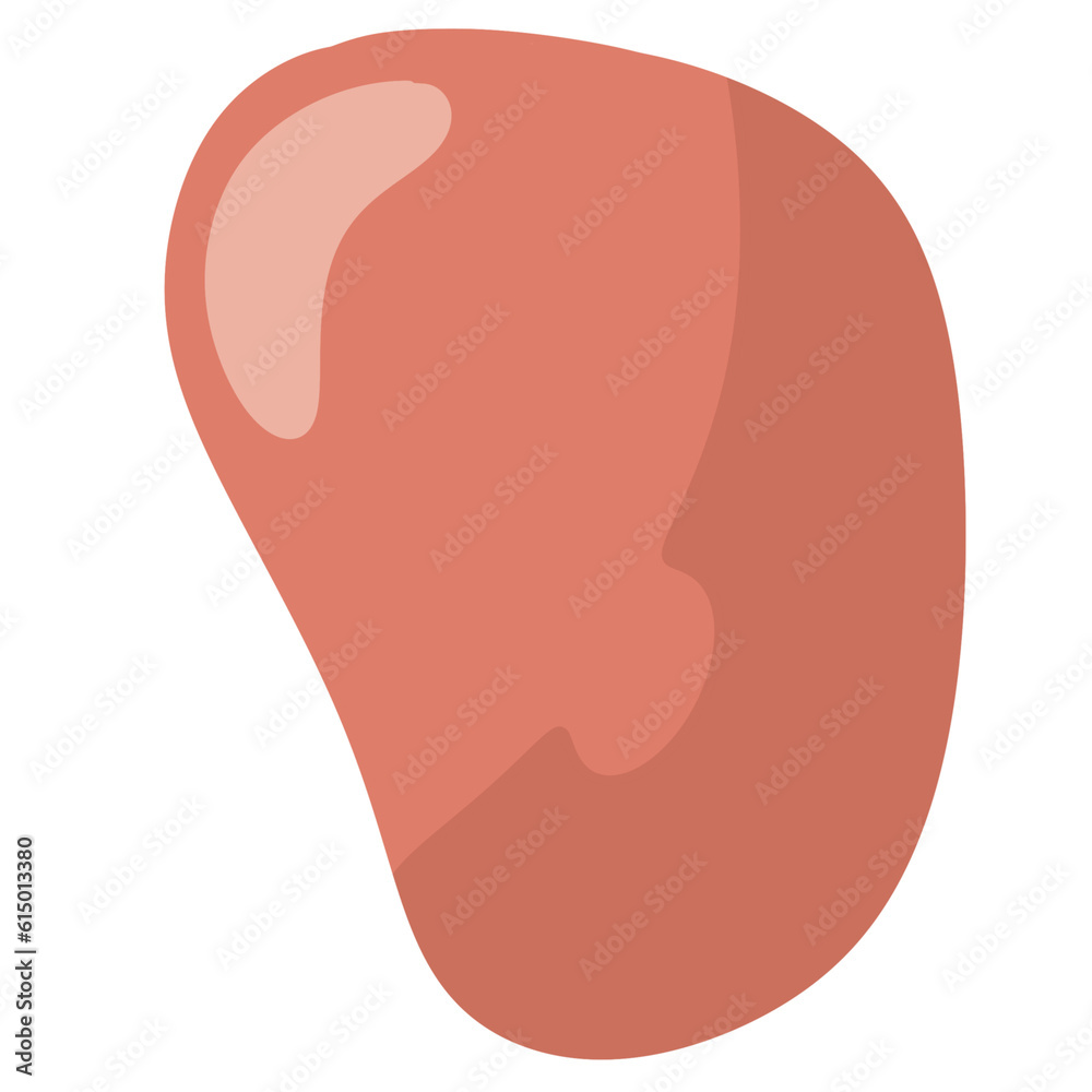 liver organ system healthy cute character cartoon illustration liver organ system healthy cute character cartoon illustration
