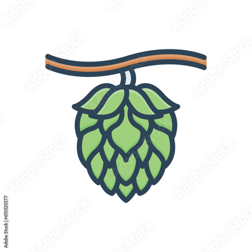 Color illustration icon for hop fruit 