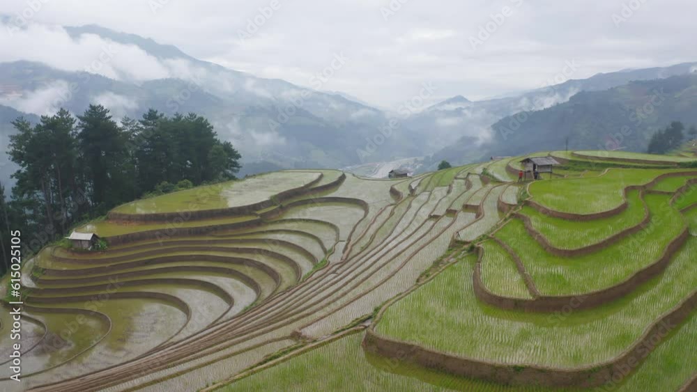 Aerial top view of fresh paddy rice terraces, green agricultural fields in countryside or rural area of Mu Cang Chai, mountain hills valley in Asia, Vietnam. Nature landscape background. Aerial top view of fresh paddy rice terraces, green agricultural fields in countryside or rural area of Mu Cang Chai, mountain hills valley in Asia, Vietnam. Nature landscape background.