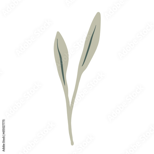  Hand-draw leaves in gouache digital illustration style