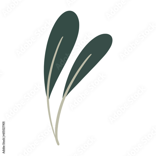  Hand-draw leaves in gouache digital illustration style