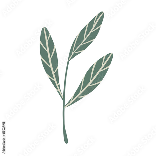  Hand-draw leaves in gouache digital illustration style