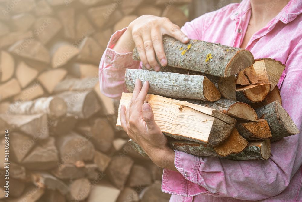 Dry chopped firewood in the hands of a woman. Sunny day Dry chopped firewood in the hands of a woman. Sunny day