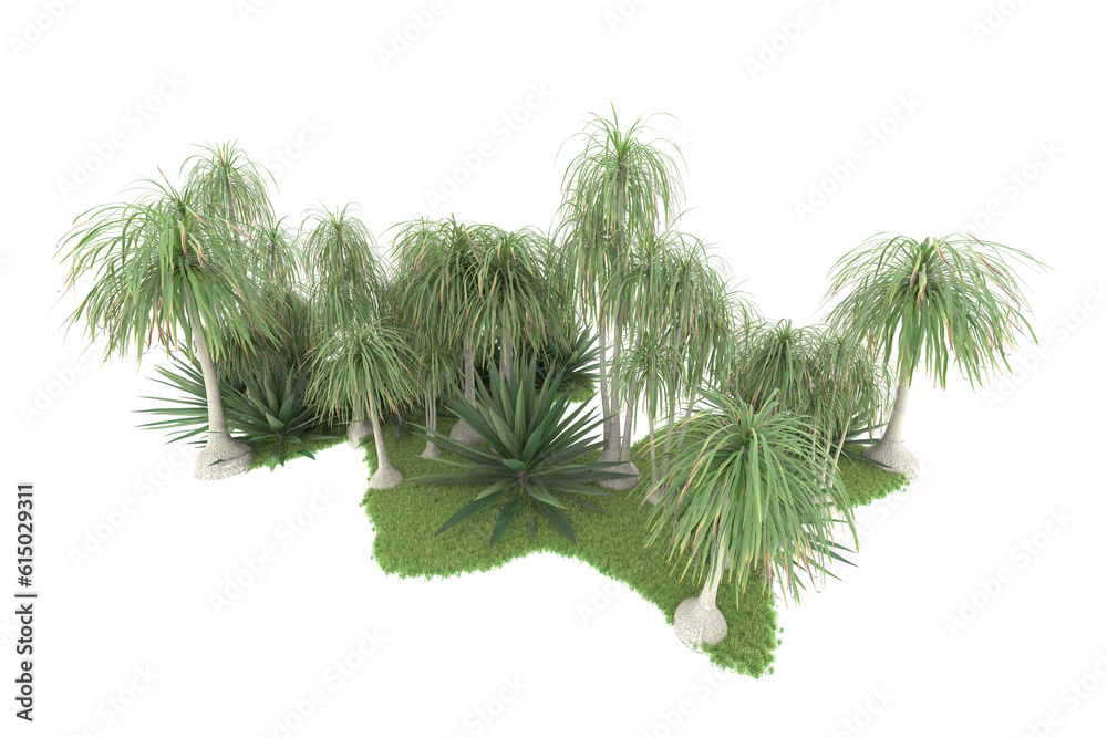 Tropical forest isolated on transparent background. 3d rendering - illustration Tropical forest isolated on transparent background. 3d rendering - illustration
