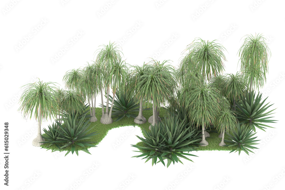 Tropical forest isolated on transparent background. 3d rendering - illustration
