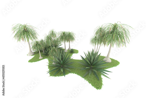 Tropical forest isolated on transparent background. 3d rendering - illustration