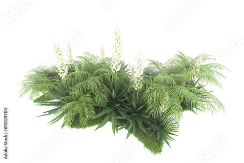 Tropical forest isolated on transparent background. 3d rendering - illustration