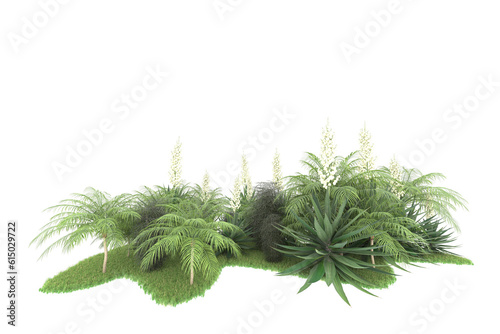 Tropical forest isolated on transparent background. 3d rendering - illustration