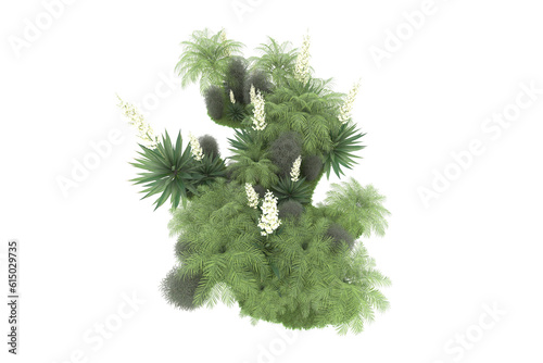 Tropical forest isolated on transparent background. 3d rendering - illustration