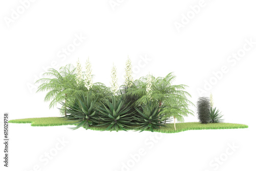 Tropical forest isolated on transparent background. 3d rendering - illustration