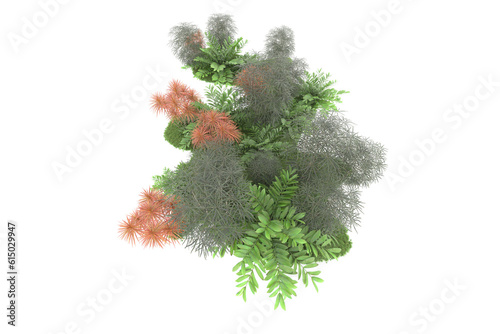 Tropical forest isolated on transparent background. 3d rendering - illustration