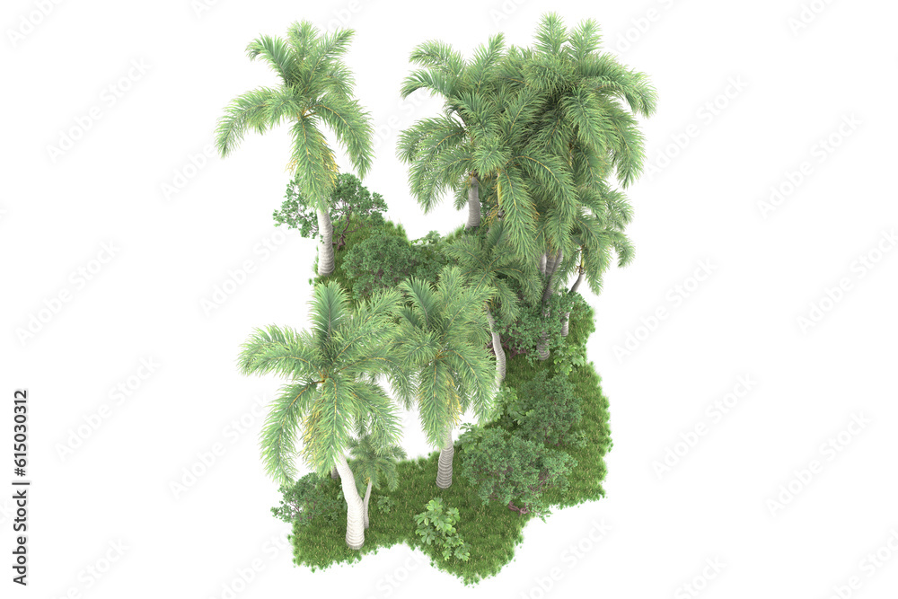 Fototapeta premium Tropical forest isolated on transparent background. 3d rendering - illustration