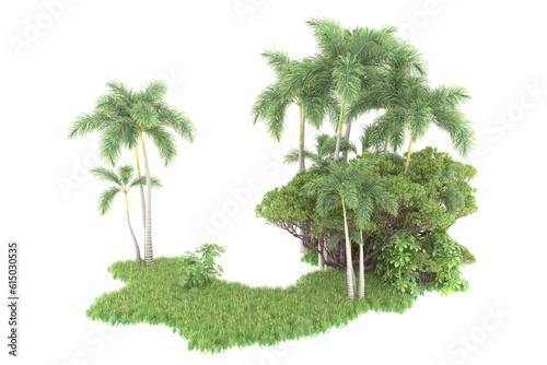 Tropical forest isolated on transparent background. 3d rendering - illustration