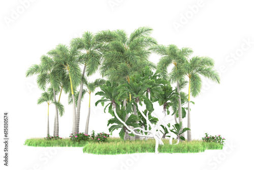 Tropical forest isolated on transparent background. 3d rendering - illustration