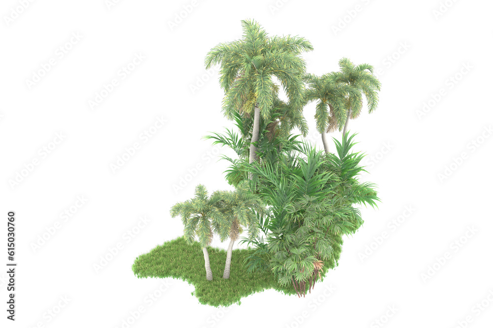 Fototapeta premium Tropical forest isolated on transparent background. 3d rendering - illustration