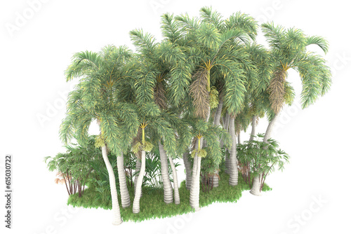 Fototapeta Naklejka Na Ścianę i Meble -  Tropical forest isolated on transparent background. 3d rendering - illustration
