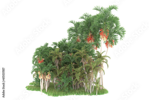 Tropical forest isolated on transparent background. 3d rendering - illustration