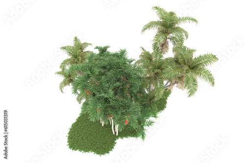 Tropical forest isolated on transparent background. 3d rendering - illustration