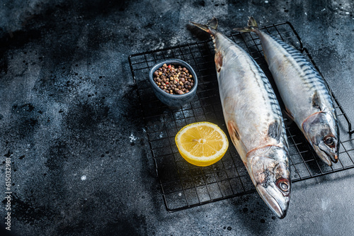 Fresh Raw mackerel scomber fish ready for grilling. Black background. Top view. Copy space