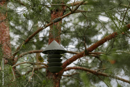 Green modern bird feeder on pine tree and greenfinch on the background. Nature concept. Modern exterior concept. photo