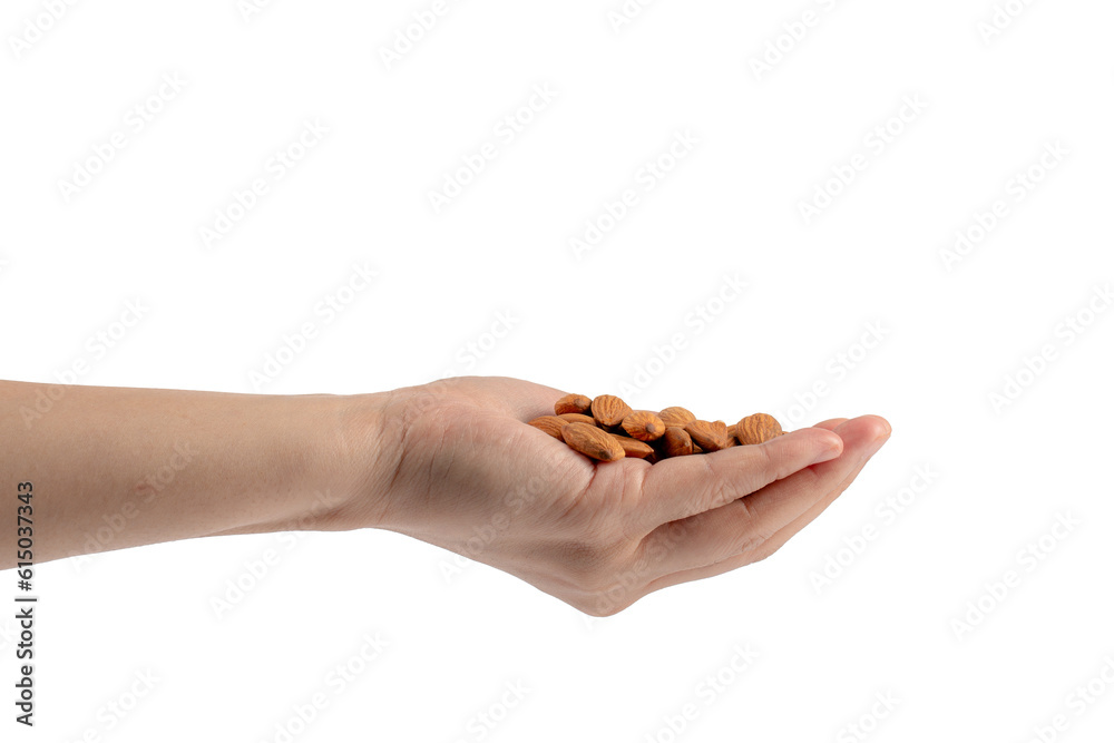 Almonds seed in hand isolated on transparent background
Almonds seed in hand isolated on transparent background