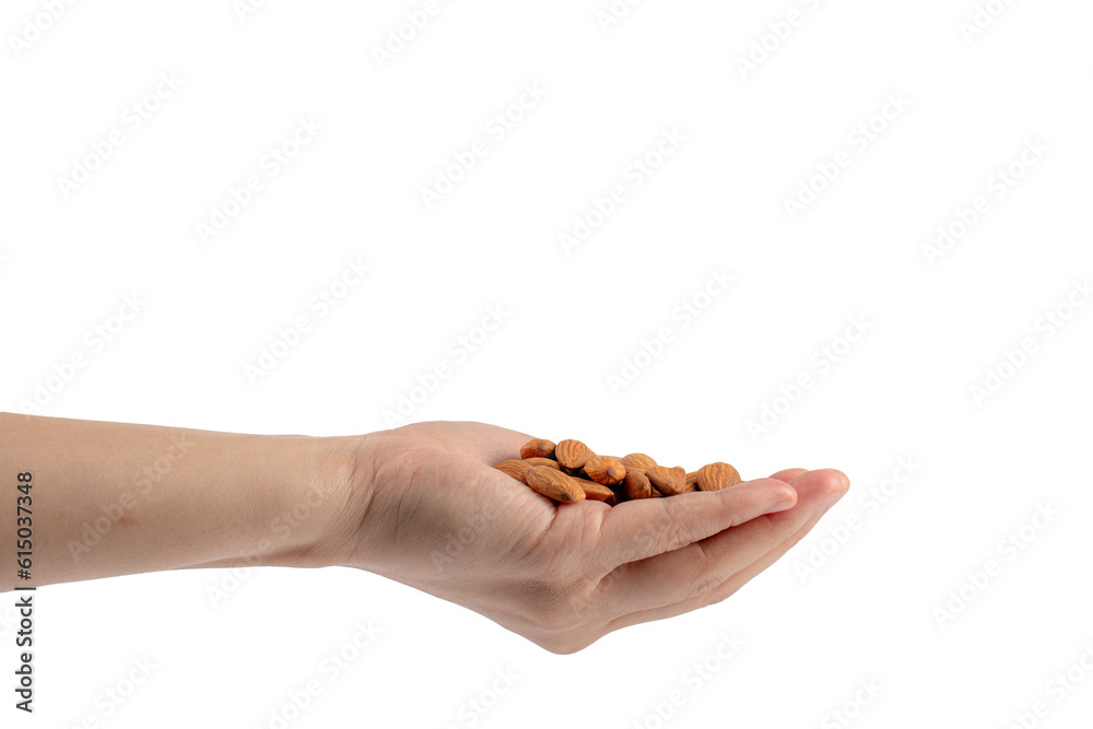 Almonds seed in hand isolated on transparent background

