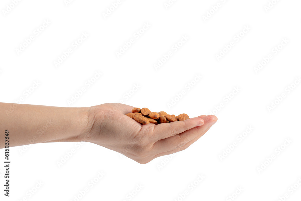 Almonds seed in hand isolated on transparent background
Almonds seed in hand isolated on transparent background