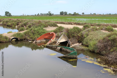 Boats cemetery at Delta de l'Ebre. Abandoned old wooden boats.