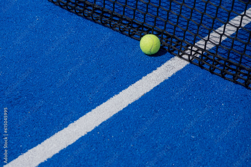 ball by the net of a paddle tennis court
