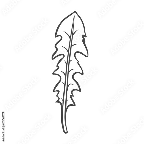 Dandelion leaf outline icon vector illustration. Hand drawn line sketch of edible plant from spring or summer meadow, natural leaves for cooking vegan salad in kitchen, dandelion vitamin herb