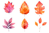 Watercolor set of beautiful colourful autumn leaves in white background