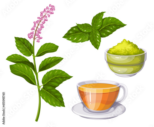 Tulsi set vector illustration. Cartoon isolated holy basil collection with botanical Ocimum tenuiflorum plant with flowers, natural powder in bowl and tulsi tea cup of traditional Ayurveda medicine