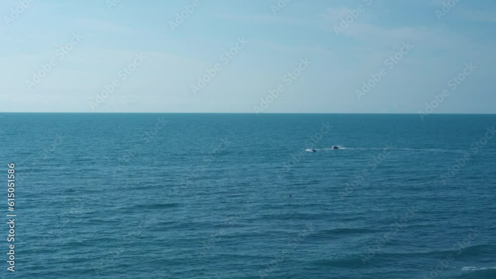 Calm Ocean and Blue Sky with White Cirrus Clouds Slow Motion, Beautiful Seascape. Travel, Vacation, Boat, Holiday. Sea and Blue Sky in Summer Day. Natural Landscape 4K. Calm Ocean and Blue Sky with White Cirrus Clouds Slow Motion, Beautiful Seascape. Travel, Vacation, Boat, Holiday. Sea and Blue Sky in Summer Day. Natural Landscape 4K.