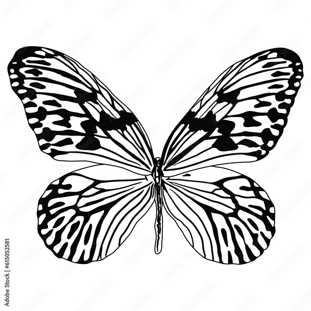 Embark on a whimsical journey with this captivating black-and-white butterfly design. Designed for coloring books, this enchanting artwork encourages children to bring butterflies to life.