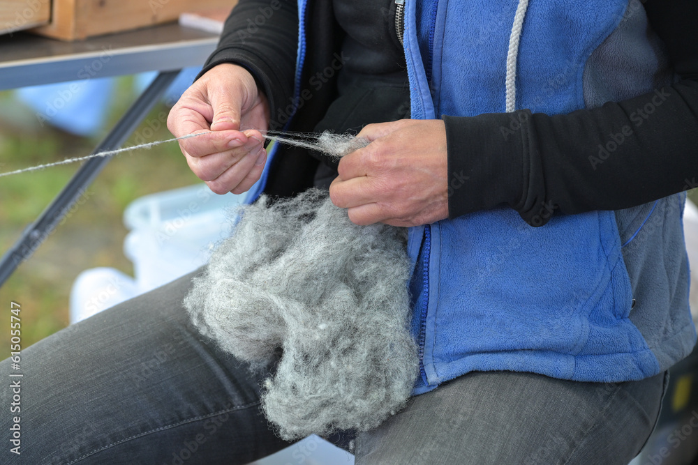 Hands of a woman spinning raw gray wool into thread at a craft market, selected focus Hands of a woman spinning raw gray wool into thread at a craft market, selected focus
