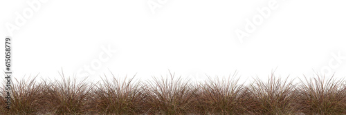 Savanna grass meadow field row cutout transparent backgrounds 3d render png